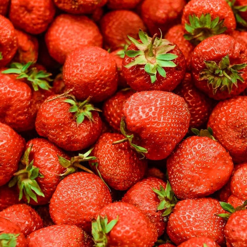 Strawberry Seeds