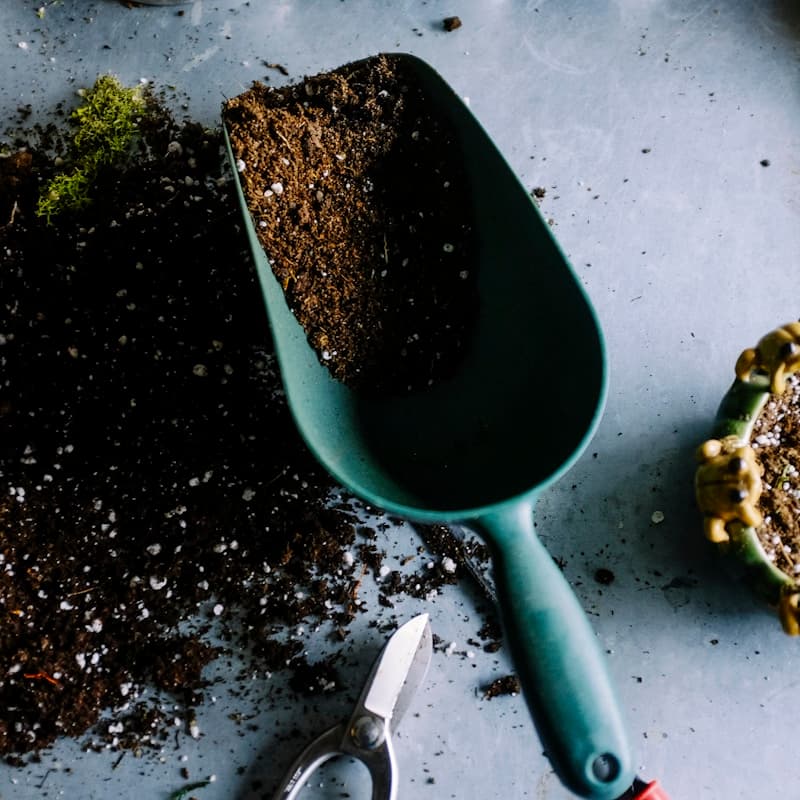 The Ultimate Plant Watering Guide